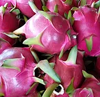 Dragon fruit